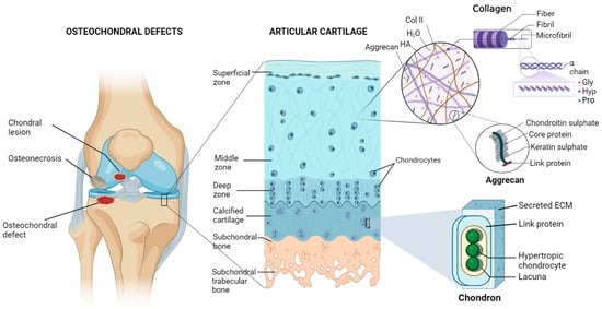 What Peptides Are Best for Joint Pain and Injury Healing