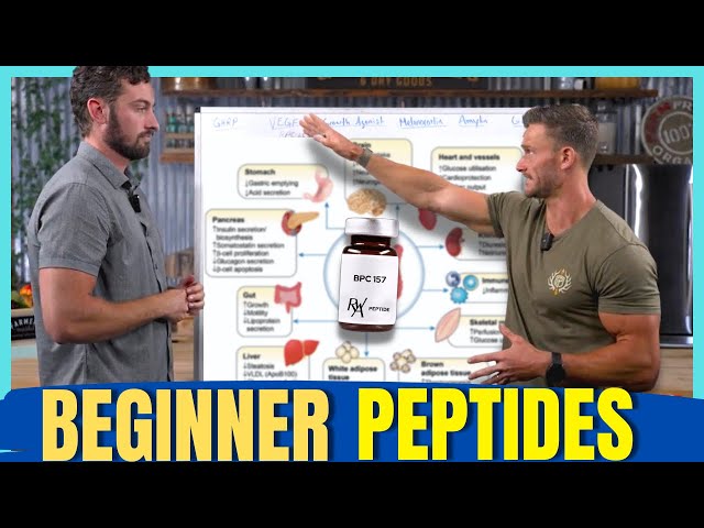 What Is the Safest Peptide for Beginners to Try