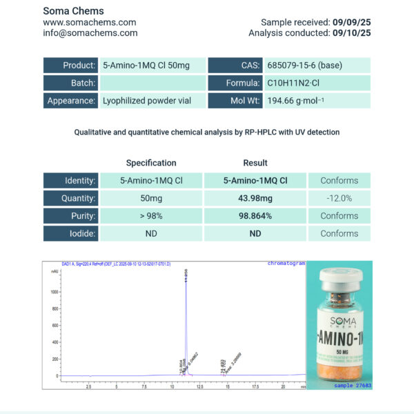5-AMINO-1MQ - Image 2